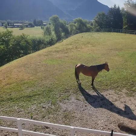 Appartement Apartma Morizna *