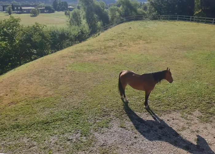 アパート Apartma Morizna *